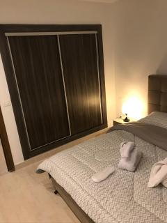 Un luxueux appartement à jardin de carthage - 8