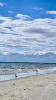 Casa Mar - Beachside Bliss - 1