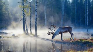 Hotel Indigo North Conway - 7