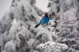 Hotel Indigo North Conway - 6