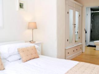 Swallow Barn-Ow2 - 2