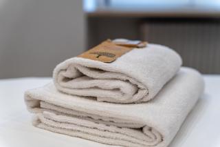 Casa Giulia dietro Porta Borsari - 1