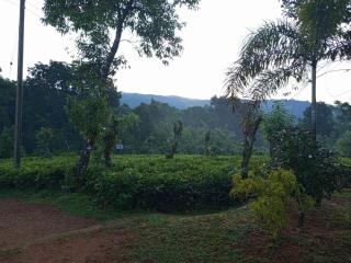 Aura Hilltop Matale - 6