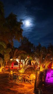 Tentania Garden House - 9