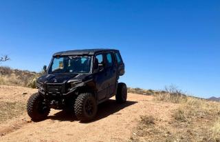 The Pink Flamingo Ranch - 9