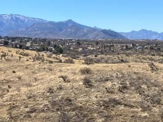 The Pink Flamingo Ranch - 7