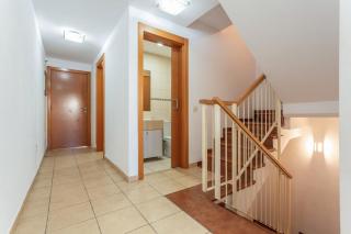 Obsidian Peridotita Adeje - 4