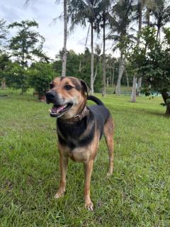 Villa of Permaculture - 7