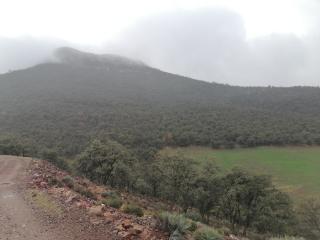 AYA Farm,Ferme d'hotes Aguelmous - 9