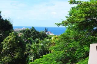 Ballito Treetops on Ashley - 0