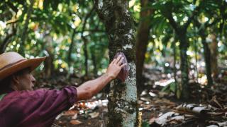 Tuqtuquilal - Cacao & Regenerative Center - 9