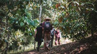 Tuqtuquilal - Cacao & Regenerative Center - 7