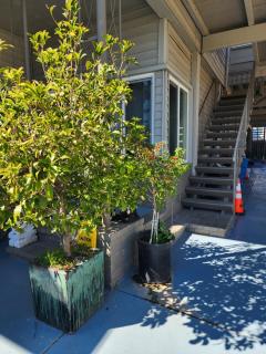 2Bedroom 1Bathroom 300 Night - 1