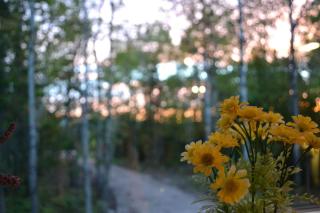 Chalet Nature de Charlevoix - 1