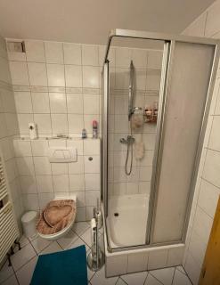 Ferienwohnung am Rosenhof - 7