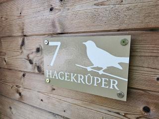 Tiny House De Hagekrûper - 4