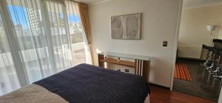 Departamento Central Viña del Mar Parque Marina - 4