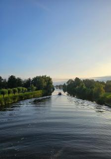 Tiny House De Hagekrûper - 6