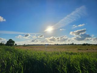 Tiny House De Hagekrûper - 7