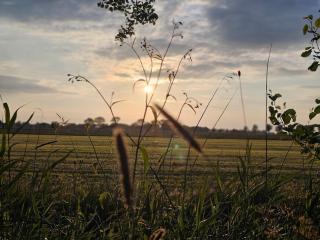 Tiny House De Hagekrûper - 8