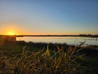 Tiny House De Hagekrûper - 9