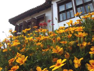 Pachilov House - 3