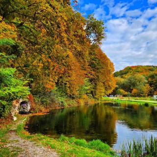 "Rózin Pstrągarnia" domki całoroczne Jura Krakowsko-Częstochowska - 6