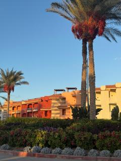 Elabd Family Porto Chalet - 8