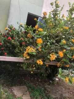 Apartamento para cop30 - 1