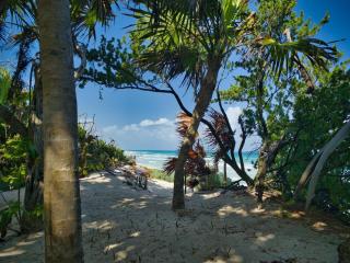 Beachfront Villa Pools & Concierge in Sian Kaan - 9