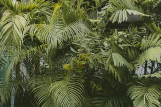 Oasis Colonial Cartagena - 9