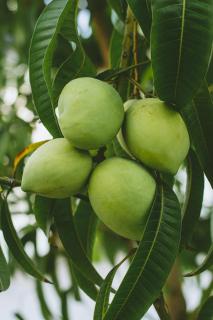 Oasis Colonial Cartagena - 1