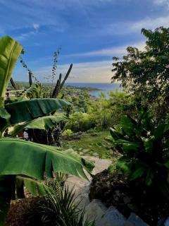 Bungalow Panorama Kréyòl - 5