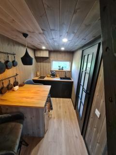 Užburtas Miškas - 7