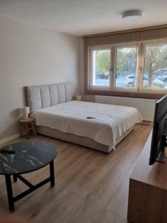 Apartament Sobótka - 4