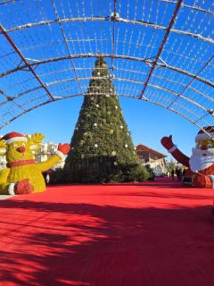 Le Cardinale in Barcarès Beach 4 people - Le Barcarès - 0