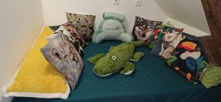 Beauval Saint Aignan,châteaux de la Loire gîte Le Royaume Sauvage - 8