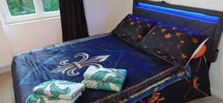 Maison individuelle Le Royaume Sauvage Gîte - 9