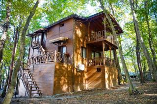 Fatsa Belediyesi Çerkezler Tepesi Bungalov Otel - 4