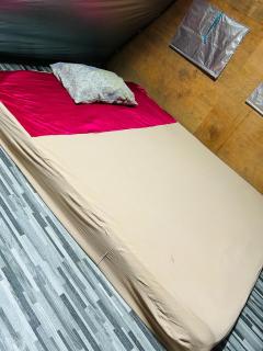 Delft mikky home stay - 3