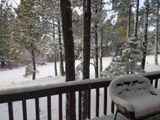 Burning Tree Lodge - Forest Views Fire Pit AC Pet and Family Friendly - 4