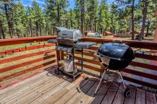 Gorgeous Historic 3 BR Log Cabin w Forest Views 20 Minutes from Flagstaff Now with Wi-Fi - Parks - 2