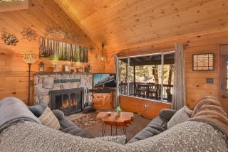 Enchanted Forest Super Cozy Cabin on 2 Acres Sledding Hills Tree Swing Pool Table - 9