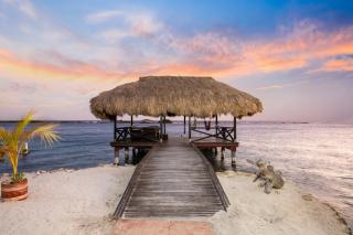 Private Beach Ocean Front Boat Dock Tiki Bar - 7