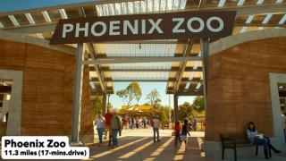 Quaint 2BR Uptown Biltmore Gym Pool Parking WD - 9