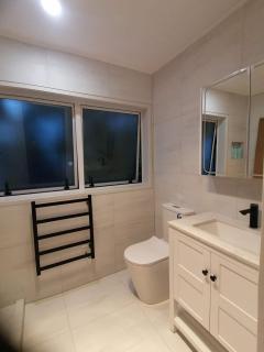 Auckland Takapuna 2B Unit & Netflix - 3