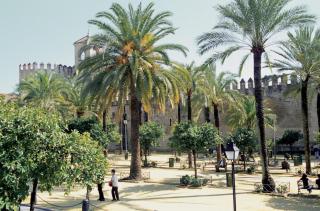 NH Córdoba Califa - 3