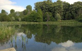 The Old Hay Barn - Games Room, Gym, Sleeps 8 - 4