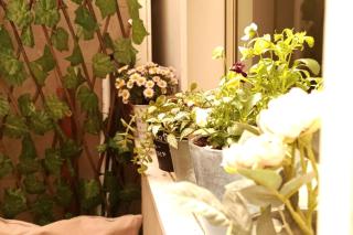 Cosy & Calm Central Getaway Modern Guest Suite by Midrachov 1 Queen Bed - 9