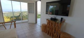 Les jardins suspendus des caraibes - 4